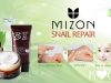 Product Review: Mizon Snail Repair Eye and Face Creams