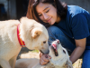 KCRUSH Interview with Korean Animal Activist Park So-youn