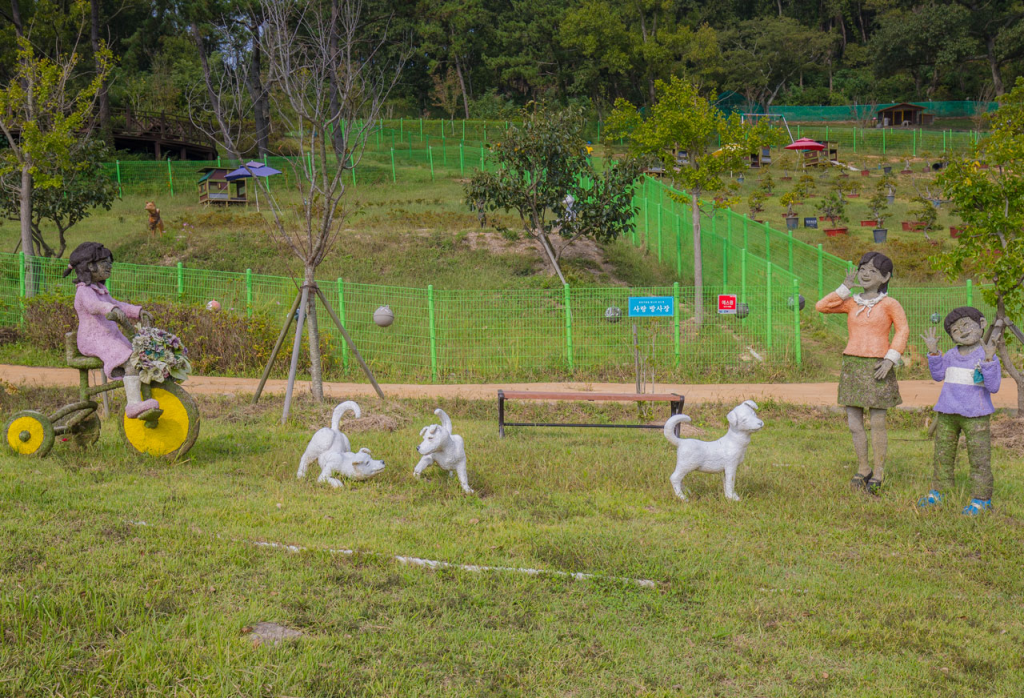 One of Korea’s National Treasures Celebrated at Jindo Dog Theme Park 1