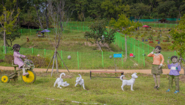 One of Korea’s National Treasures Celebrated at Jindo Dog Theme Park 1