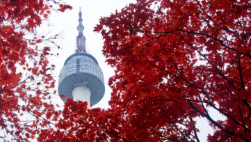 25 Random Facts about South Korea