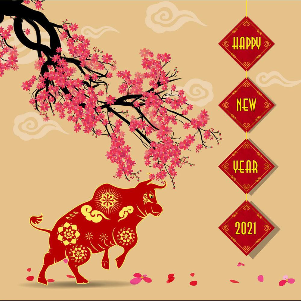 Tet Holiday The Vietnamese Lunar New Year