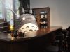 Ghibli Theme Park to Open November 1, 2022