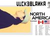 Acclaimed Japanese Artist Vicke Blanka Announces First-Ever North American Tour with 10 Dates!