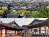 Jeonju City: The Taste City