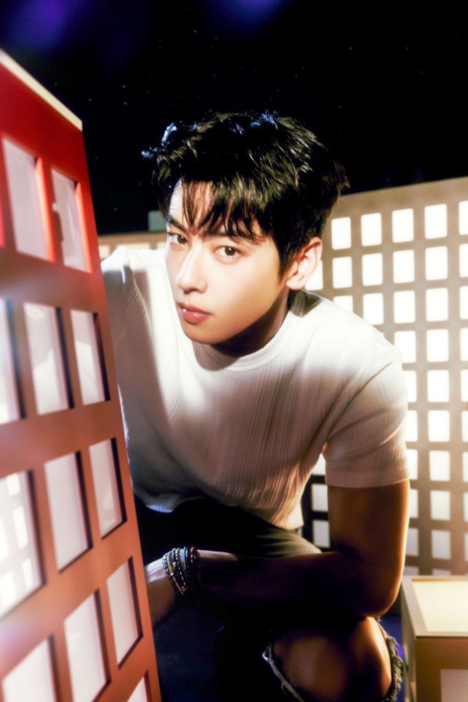 CHA EUN WOO Else 2 682x1024